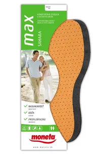Sahara